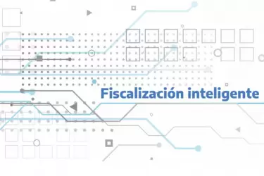 fiscalizaci�n