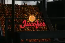 Est disponible el episodio sobre Jucofer, una cooperativa entrerriana que comercializa ctricos
