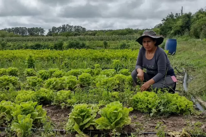 La Justa _ cooperativa / Territorio Cooperativo