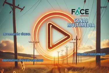 FACE multimediaweb