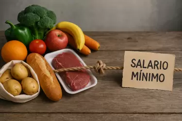 canasta basica vs salario m�nimo