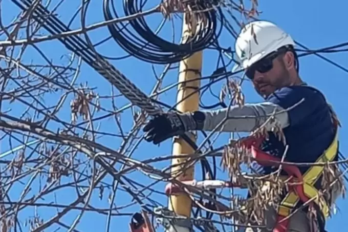 Fibra Celta Tres Arroyos