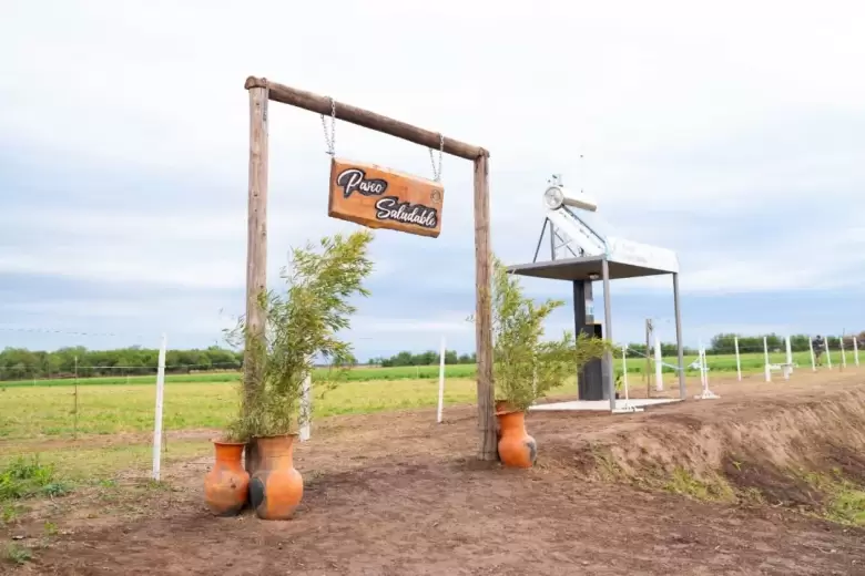 Punto sustentable Colonia Las Cuatro Esquinas