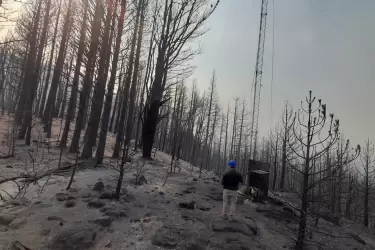 Incendio Epuyen