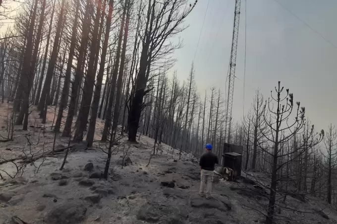 Incendio Epuyen