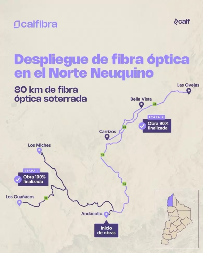 calf fibra